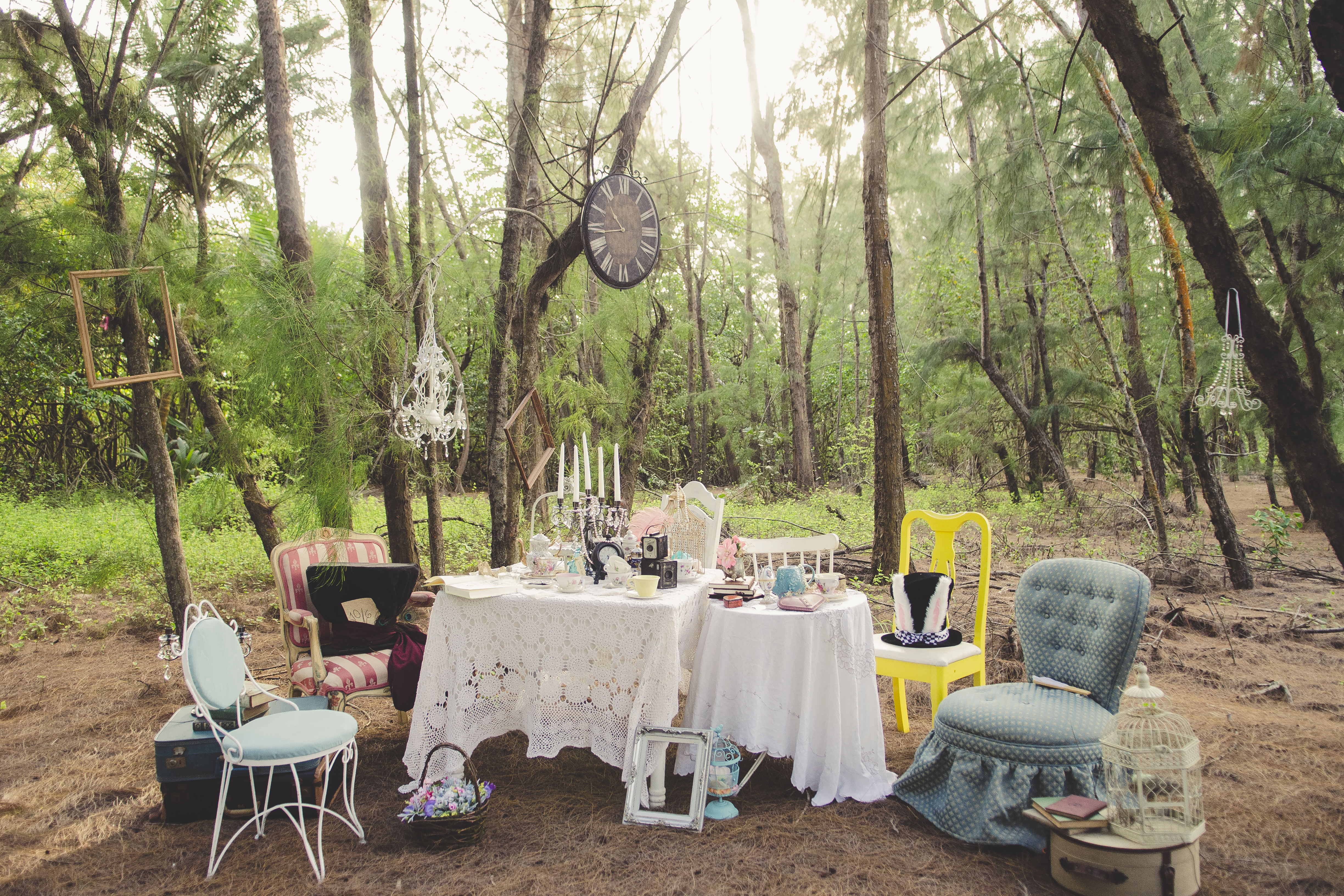 Alice in Wonderland Styled photography