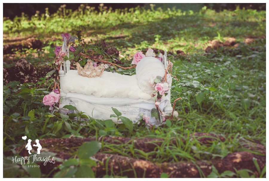 Princess bed in beautiful garden Baby Photography